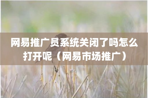 网易推广员系统关闭了吗怎么打开呢（网易市场推广）