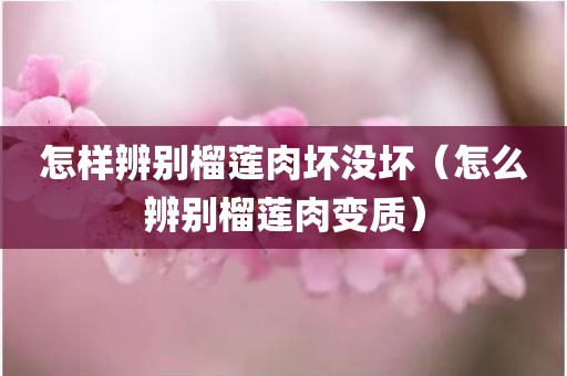 怎样辨别榴莲肉坏没坏（怎么辨别榴莲肉变质）