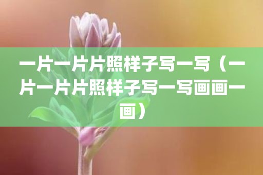 一片一片片照样子写一写（一片一片片照样子写一写画画一画）