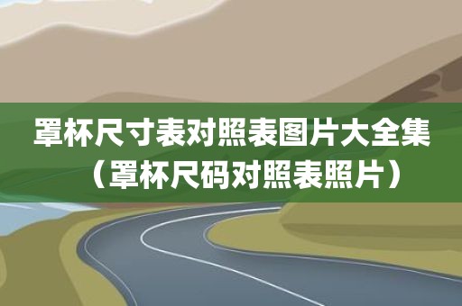 罩杯尺寸表对照表图片大全集(罩杯尺码对照表照片) 罩杯尺寸表对照表图片大全集(罩杯尺码对照表照片)