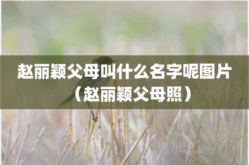 赵丽颖父母叫什么名字呢图片（赵丽颖父母照）