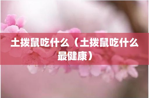 土拨鼠吃什么（土拨鼠吃什么最健康）