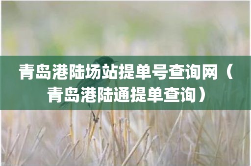 青岛港陆场站提单号查询网（青岛港陆通提单查询）