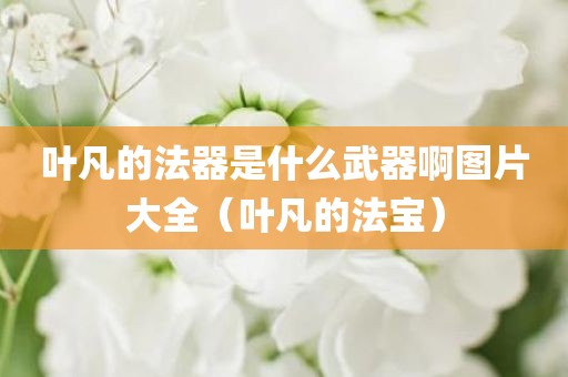 叶凡的法器是什么武器啊图片大全（叶凡的法宝）