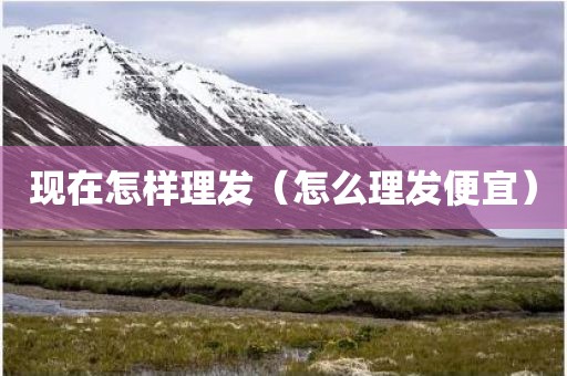 现在怎样理发（怎么理发便宜）
