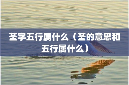 荃字五行属什么（荃的意思和五行属什么）