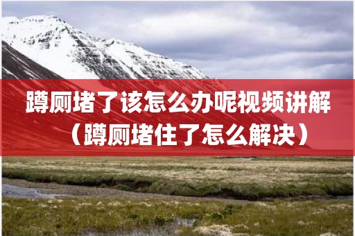 蹲厕堵了该怎么办呢视频讲解（蹲厕堵住了怎么解决）