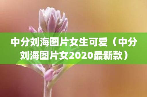中分刘海图片女生可爱(中分刘海图片女2020最新款)