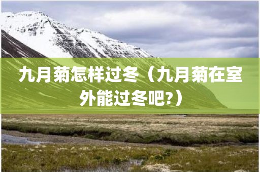九月菊怎样过冬(九月菊在室外能过冬吧?) 九月菊怎样过冬(九月菊在室外能过冬吧?)