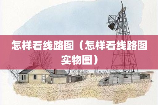 怎样看线路图（怎样看线路图实物图）
