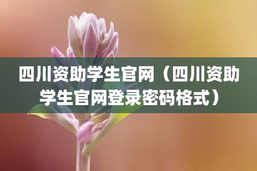 四川资助学生官网（四川资助学生官网登录密码格式）