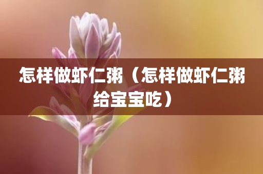 怎样做虾仁粥（怎样做虾仁粥给宝宝吃）