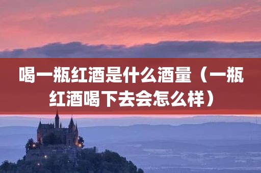 喝一瓶红酒是什么酒量（一瓶红酒喝下去会怎么样）