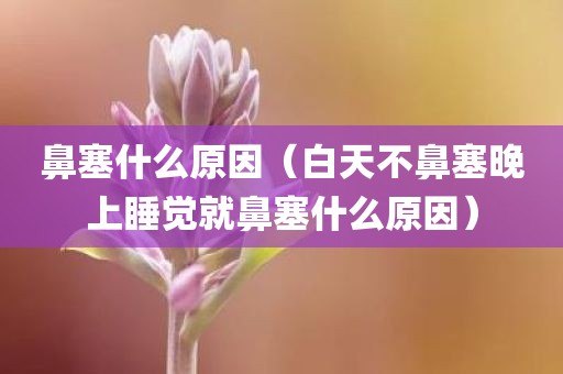 鼻塞什么原因(白天不鼻塞晚上睡觉就鼻塞什么原因)