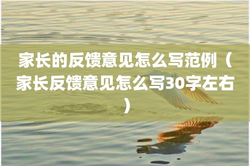 家长的反馈意见怎么写范例（家长反馈意见怎么写30字左右）