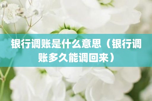 银行调账是什么意思（银行调账多久能调回来）