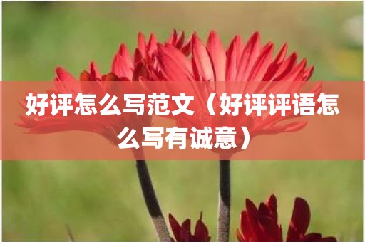 好评怎么写范文（好评评语怎么写有诚意）