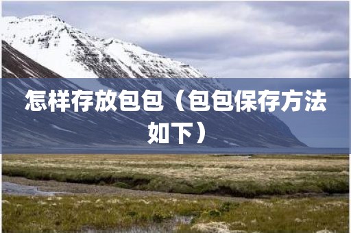 怎样存放包包（包包保存方法如下）