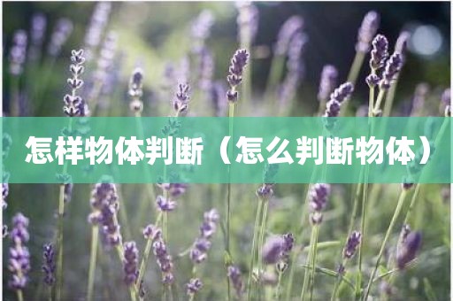 怎样物体判断（怎么判断物体）