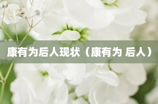 康有为后人现状(康有为 后人) 康有为后人现状(康有为 后人)