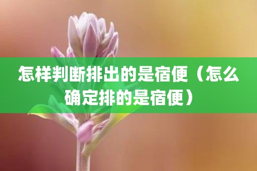 怎样判断排出的是宿便（怎么确定排的是宿便）