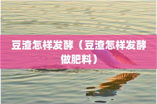 豆渣怎样发酵（豆渣怎样发酵做肥料）