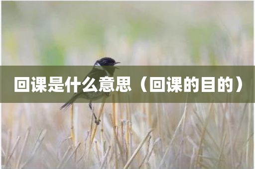 回课是什么意思（回课的目的）