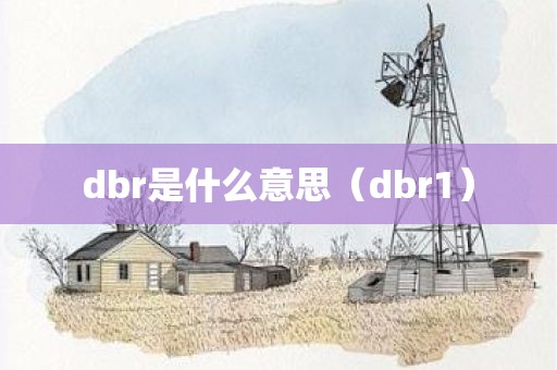 dbr是什么意思（dbr1）