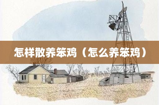 怎样散养笨鸡（怎么养笨鸡）