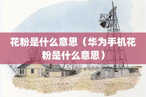花粉是什么意思（华为手机花粉是什么意思）