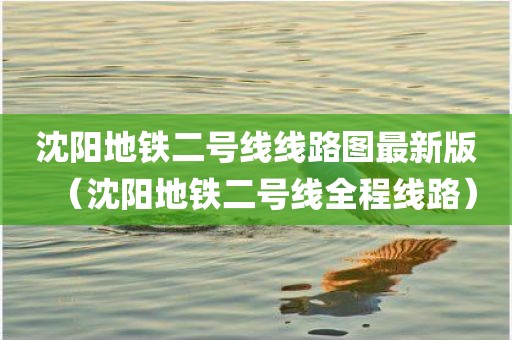 沈阳地铁二号线线路图最新版(沈阳地铁二号线全程线路)