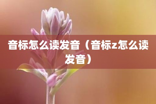 音标怎么读发音（音标z怎么读发音）