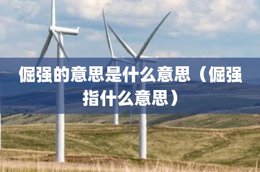 倔强的意思是什么意思(倔强指什么意思)