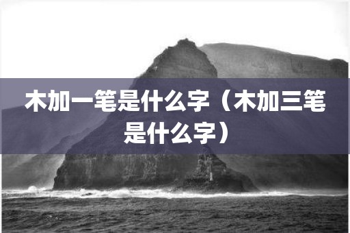 木加一笔是什么字（木加三笔是什么字）