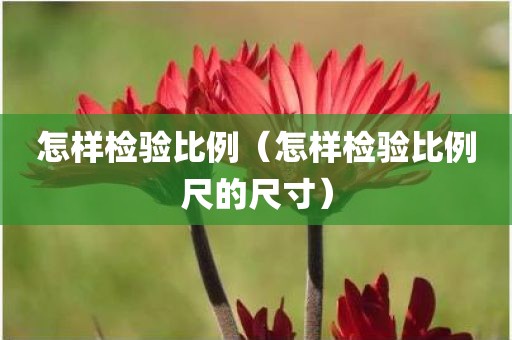 怎样检验比例（怎样检验比例尺的尺寸）