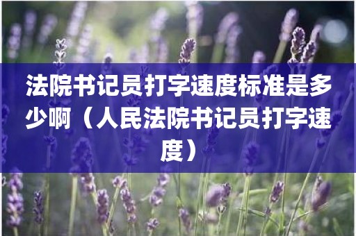 法院书记员打字速度标准是多少啊（人民法院书记员打字速度）