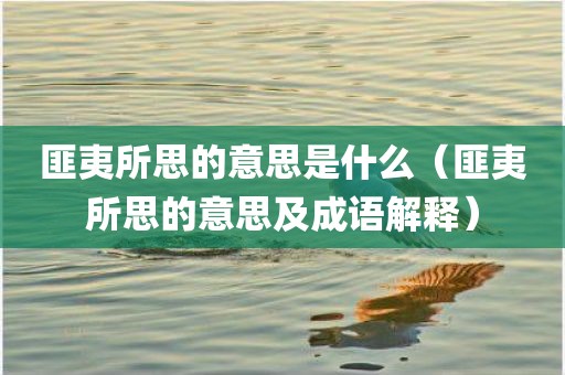 匪夷所思的意思是什么（匪夷所思的意思及成语解释）