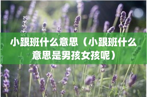 小跟班什么意思（小跟班什么意思是男孩女孩呢）