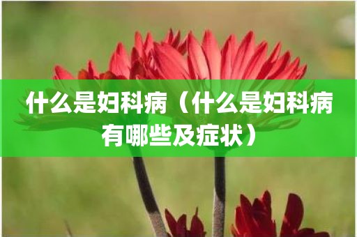 什么是妇科病（什么是妇科病有哪些及症状）