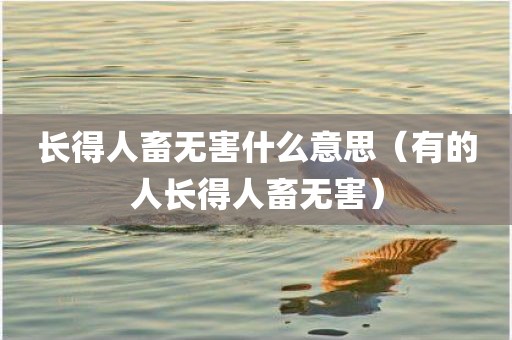长得人畜无害什么意思(有的人长得人畜无害)