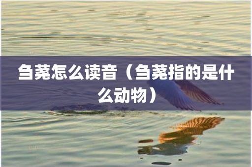 刍荛怎么读音（刍荛指的是什么动物）