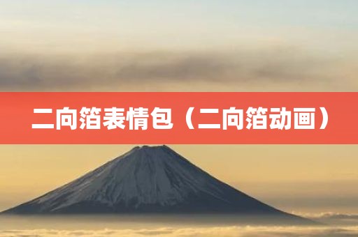 二向箔表情包（二向箔动画）