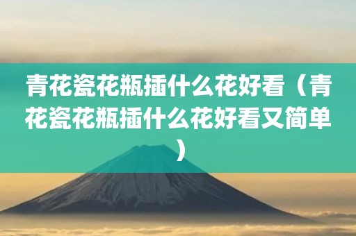 青花瓷花瓶插什么花好看（青花瓷花瓶插什么花好看又简单）