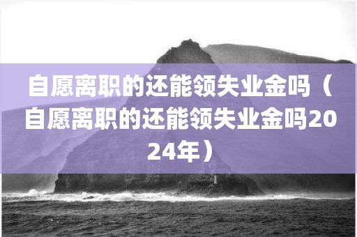 自愿离职的还能领失业金吗(自愿离职的还能领失业金吗2024年)