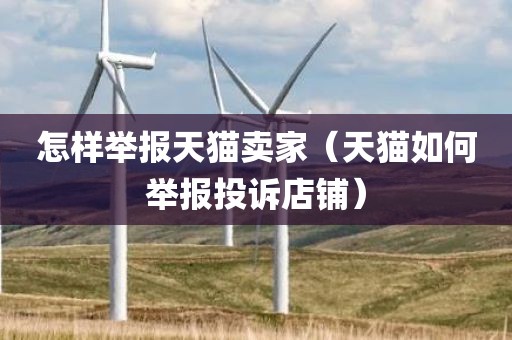 怎样举报天猫卖家（天猫如何举报投诉店铺）
