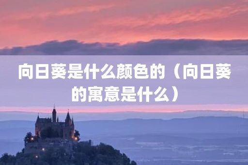 向日葵是什么颜色的（向日葵的寓意是什么）
