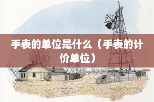 手表的单位是什么（手表的计价单位）