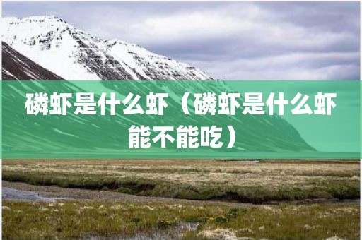 磷虾是什么虾(磷虾是什么虾能不能吃)