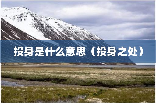 投身是什么意思（投身之处）
