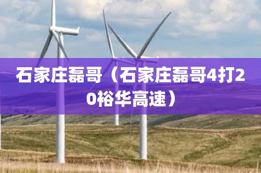石家庄磊哥（石家庄磊哥4打20裕华高速）